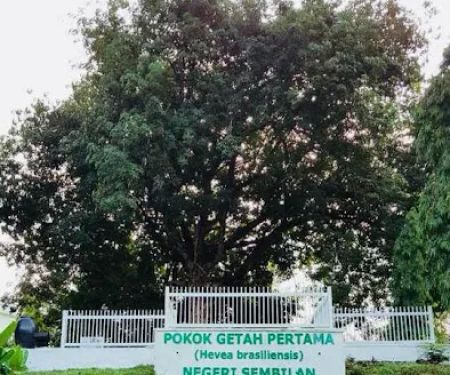 Pokok Getah Pertama Negeri Sembilan