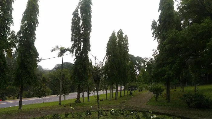 Pokok Getah Pertama Negeri Sembilan Picture 8