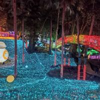 Garden Pizza ico