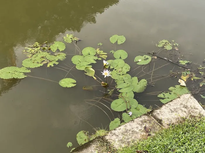 Taman Tasik Seremban Picture 10