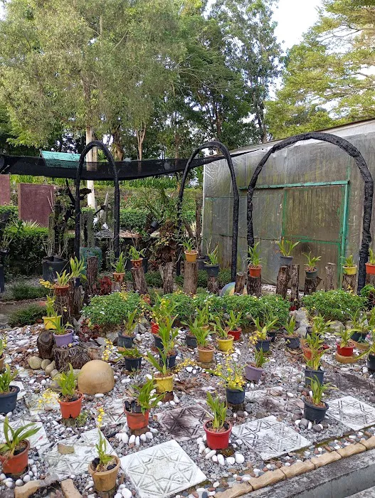 Taman Orkid Seremban Picture 5