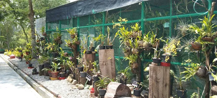 Taman Orkid Seremban Picture 4