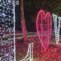 Taman Malaysia ico