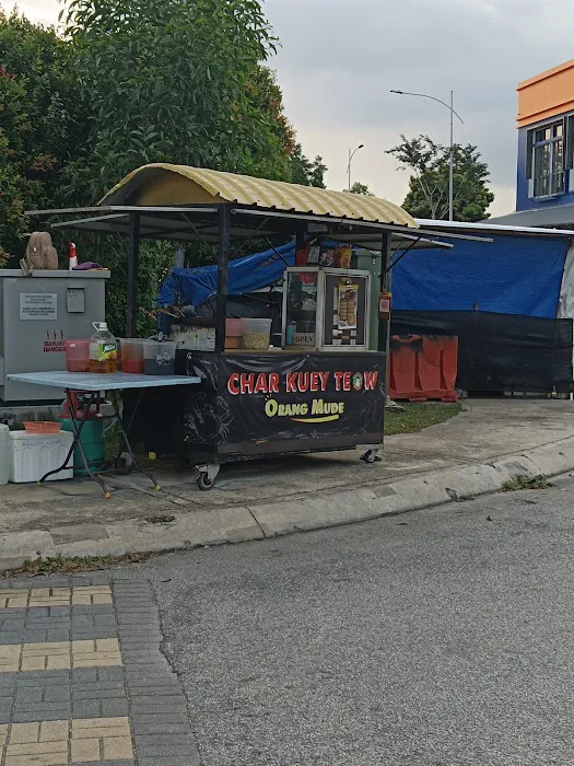 Char Kuey Teow Picture 2