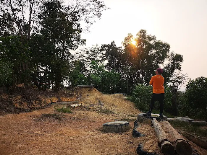 Taman Alam Budiman Seksyen U1P Picture 2
