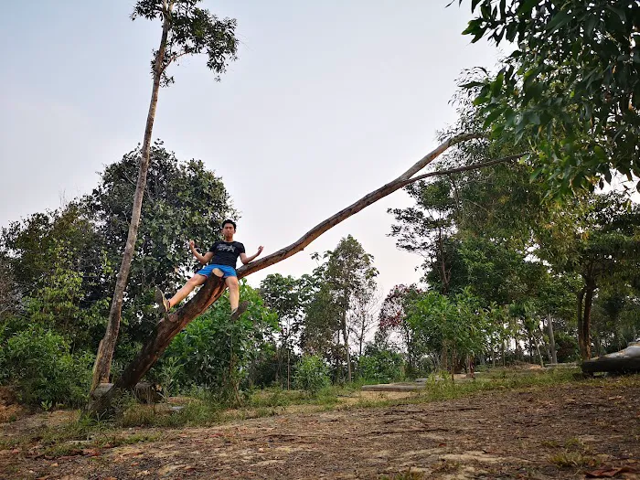 Taman Alam Budiman Seksyen U1P Picture 5