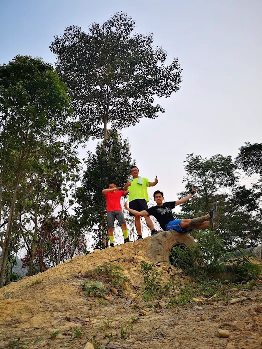 Taman Alam Budiman Seksyen U1P Picture 8