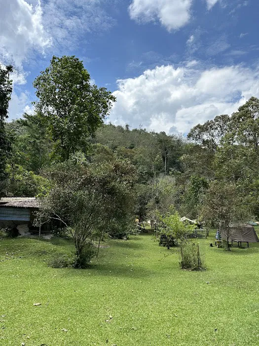 Renal Park Camp Site Picture 1