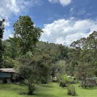 Renal Park Camp Site ico
