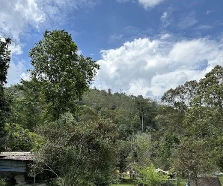 Renal Park Camp Site