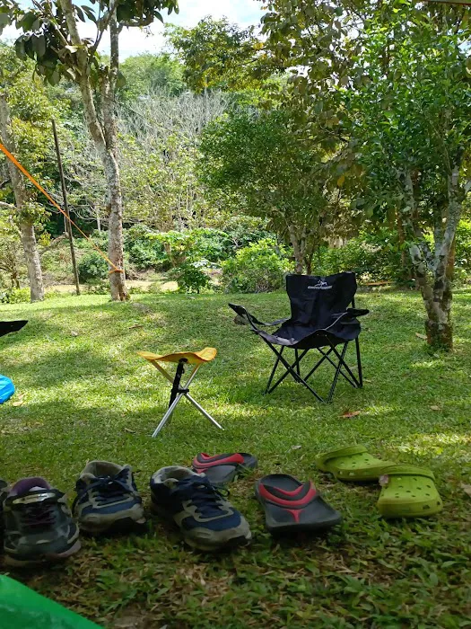 Renal Park Camp Site Picture 5