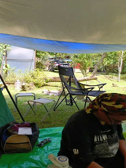 Renal Park Camp Site Picture 9