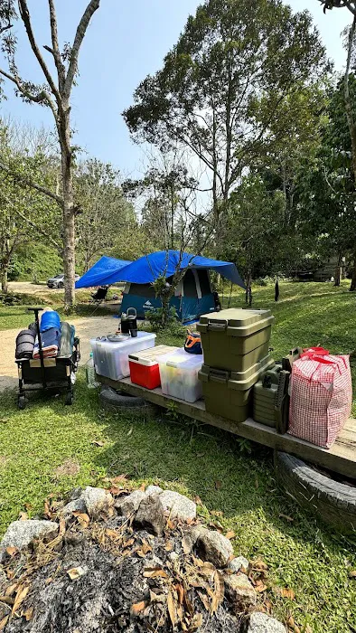 Renal Park Camp Site Picture 10