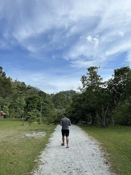 Renal Park Camp Site Picture 8