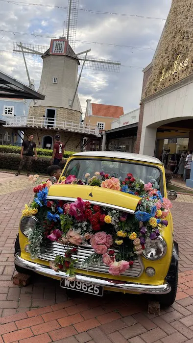 Coach MY Freeport A’Famosa Outlet Picture 9