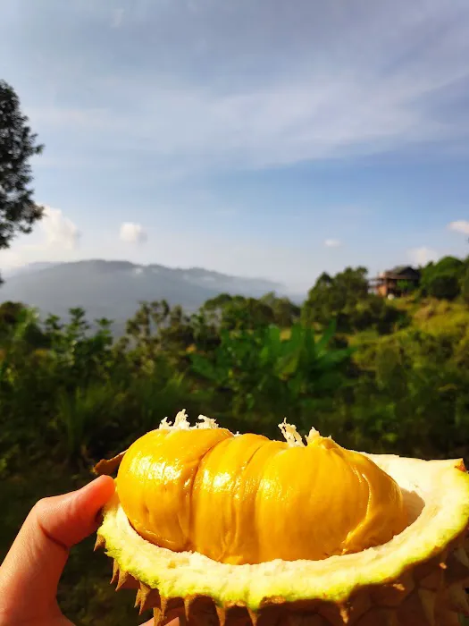 BUKIT HIN HIN Picture 4