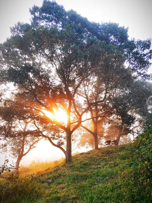 BUKIT HIN HIN Picture 5