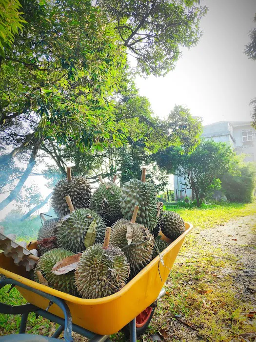 BUKIT HIN HIN Picture 10