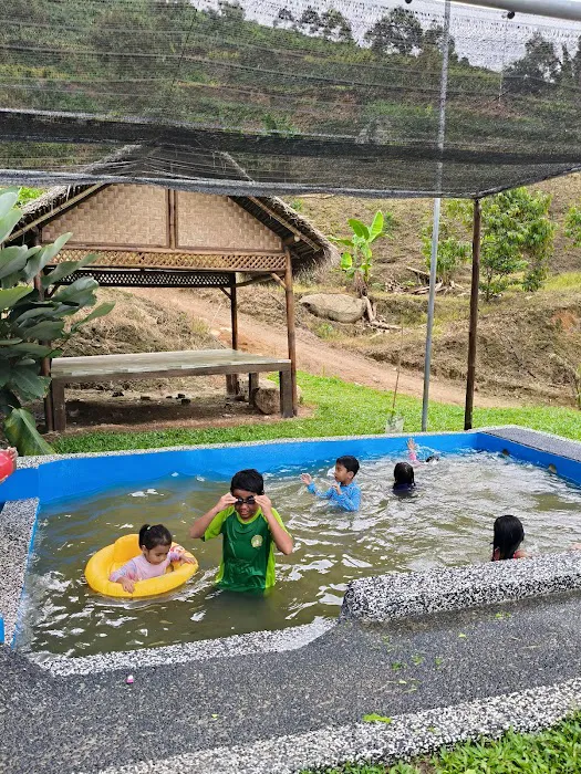 Dusun DZ Picture 12