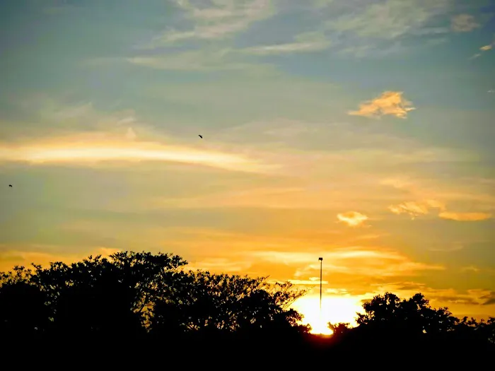 Field Bandar Bukit Raja Picture 3