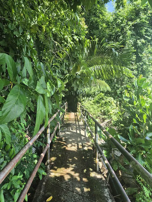 Boardwalk to Fishermans Village Picture 9
