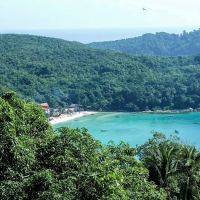 Banana Plantation View Point ico