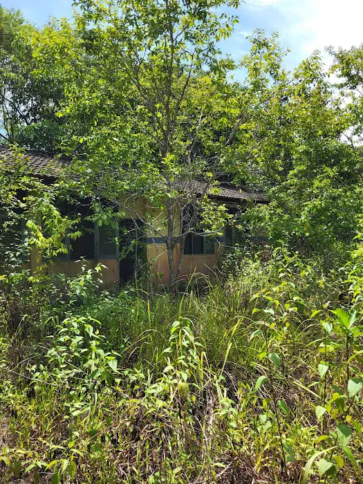 Jungle Trekking Cross-Island Trail Picture 4