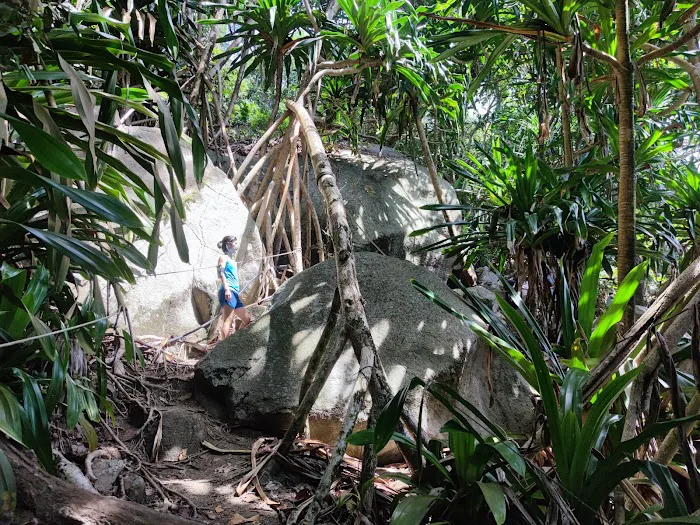 Batu Bulan Hiking Trail Picture 5