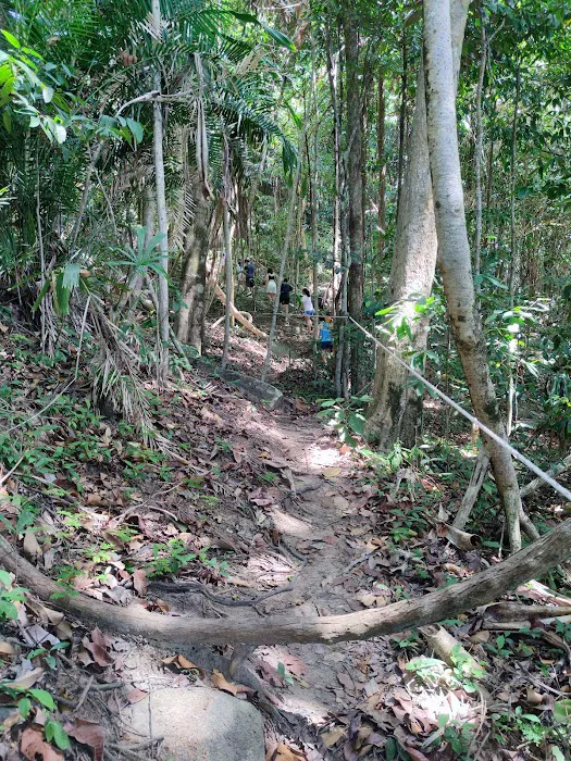 Batu Bulan Hiking Trail Picture 9