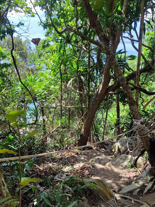 Batu Bulan Hiking Trail Picture 7