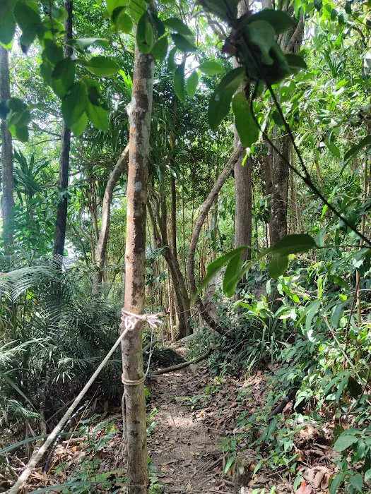 Batu Bulan Hiking Trail Picture 10