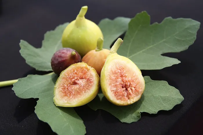 Mutiara Figs Garden Picture 6