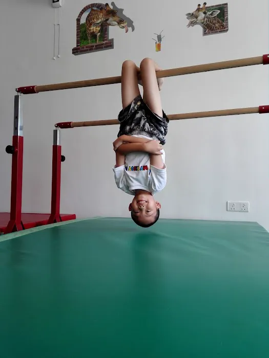 MY KIDDY GYM Picture 5