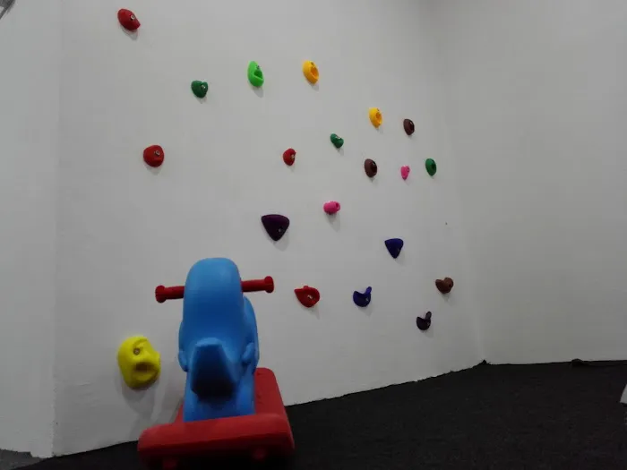 MY KIDDY GYM Picture 4