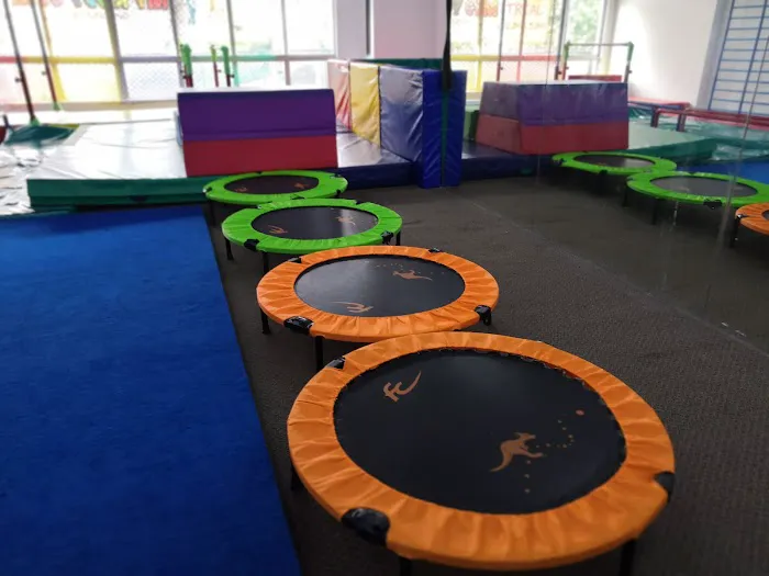 MY KIDDY GYM Picture 7