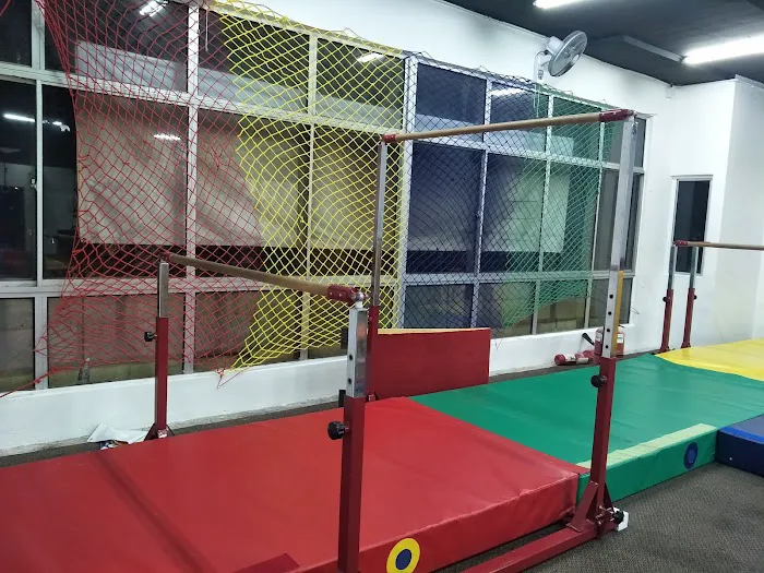 MY KIDDY GYM Picture 10