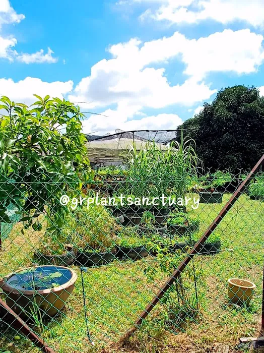 Garden Road Plant Sanctuary Picture 2