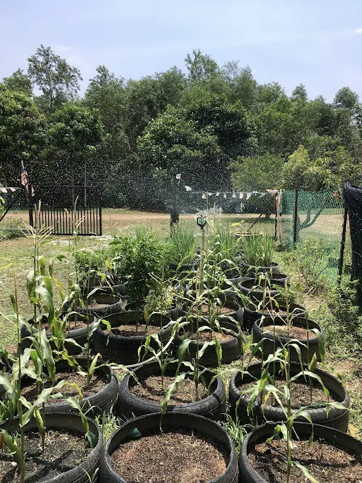 Garden Road Plant Sanctuary Picture 4