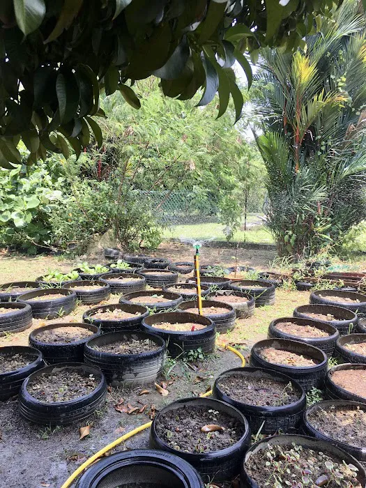 Garden Road Plant Sanctuary Picture 3