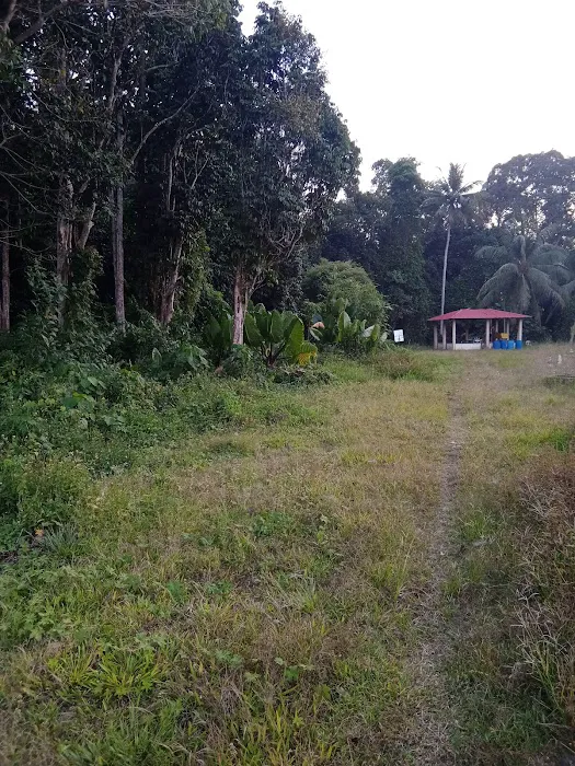 Masji Iktikaf Al-Hidayah,Kampung Keladang,Pengkalan Kubor Salor,Pasir Mas,Kelantan Picture 1