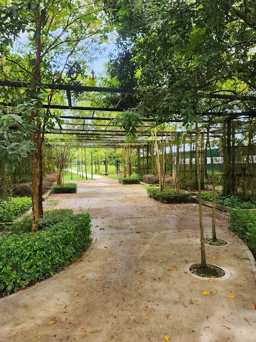 Linear Park @ Rimbayu Picture 6