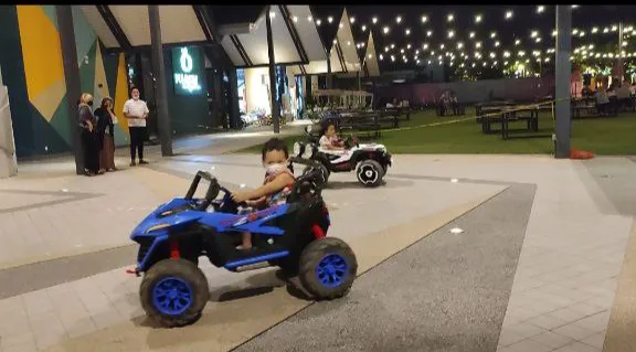 Pit Fun Ride Picture 8