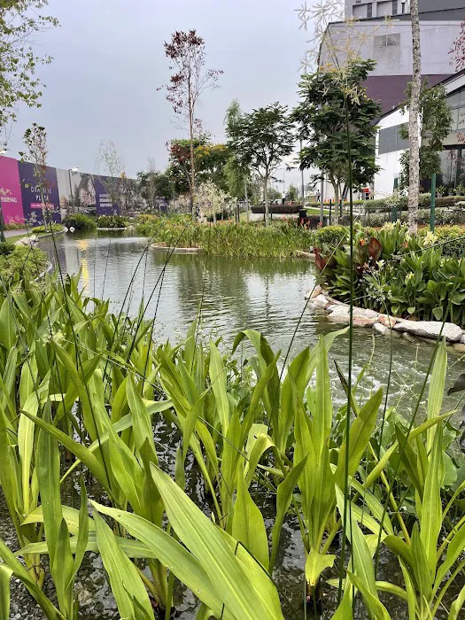 Quayside Mall Linear Park Picture 3