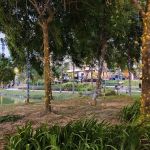 Quayside Mall Linear Park