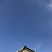 Abu Bakr Sanctuary ico