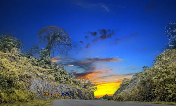 Hutan Simpan Tembat Picture 4