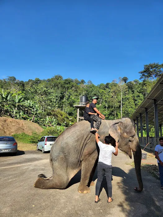 Sungai Deka Elephant Conservation Centre, Hulu Terengganu Picture 2
