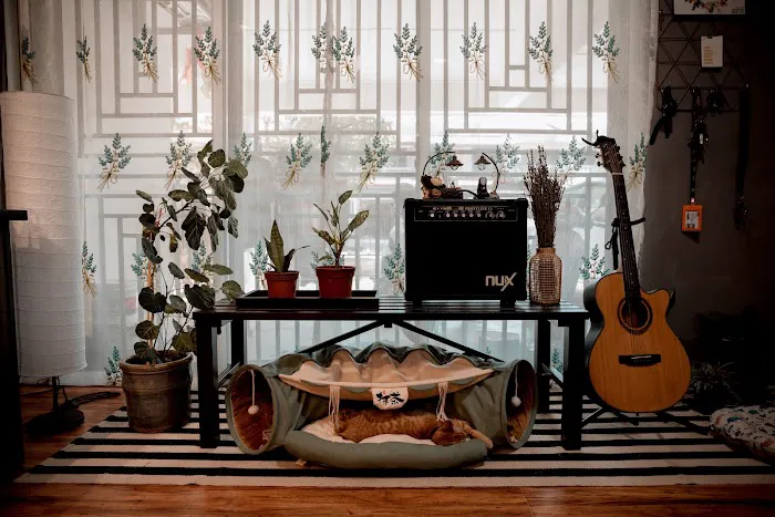 Rumah konsi Picture 1