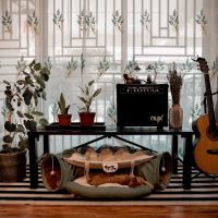 Rumah konsi ico