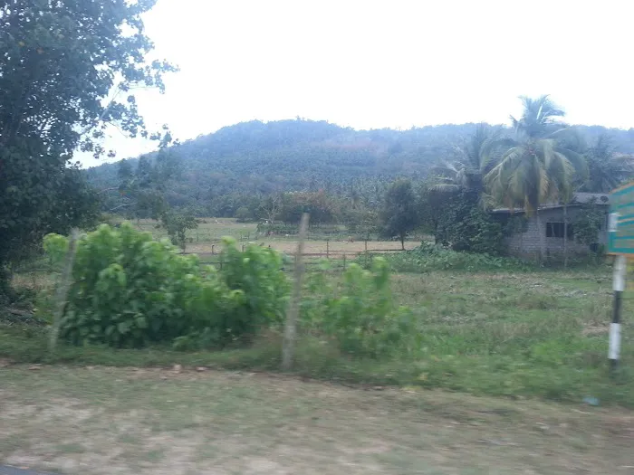 Masjid Kampung Pagar Ubi Picture 3